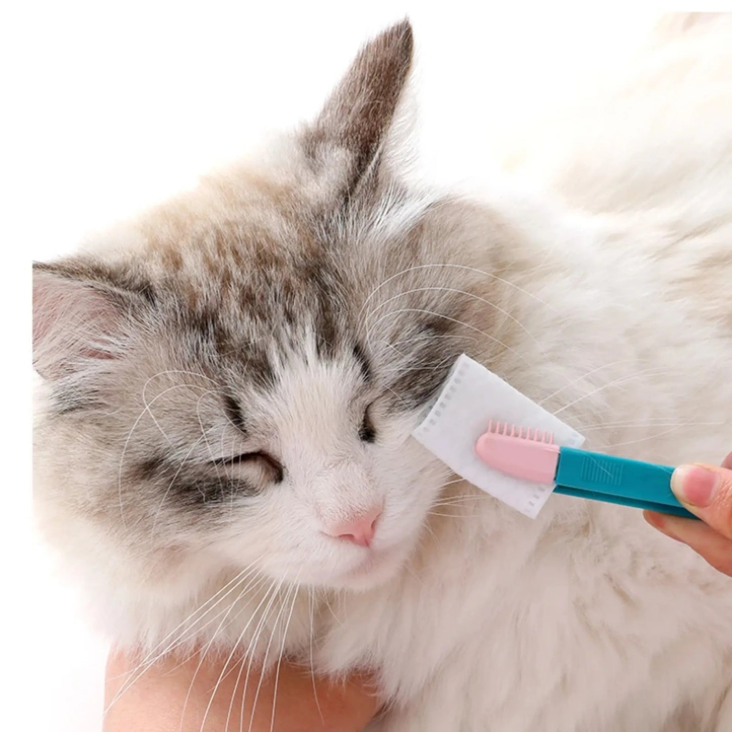 Pet Eye Cleaning Brush