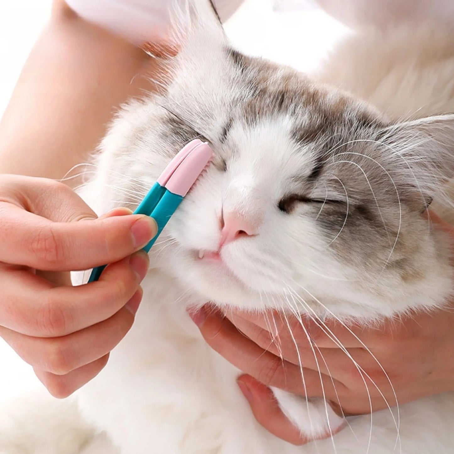 Pet Eye Cleaning Brush